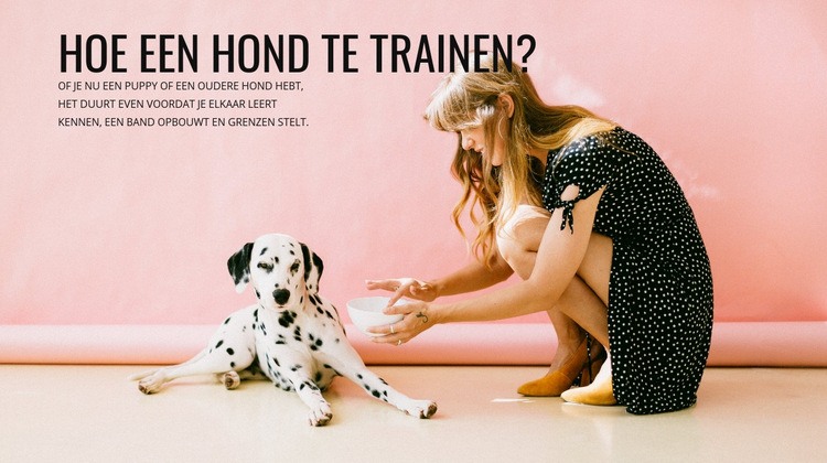 Hoe een hond te trainen Joomla-sjabloon