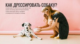 Как Дрессировать Собаку – Простой Шаблон Сайта