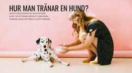 Hur Man Tränar En Hund – Bästa Gratis WordPress-Tema