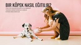 Bir Köpek Nasıl Eğitilir - Işlevsellik Açılış Sayfası