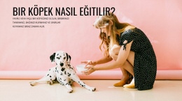 Bir Köpek Nasıl Eğitilir Için Web Sitesi Tasarımı