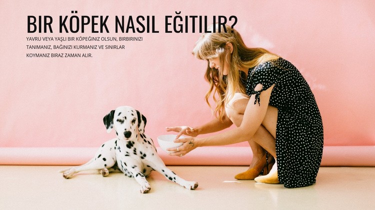 Bir köpek nasıl eğitilir HTML5 Şablonu