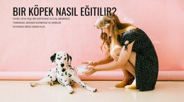 Bir Köpek Nasıl Eğitilir - Basit Web Sitesi Şablonu