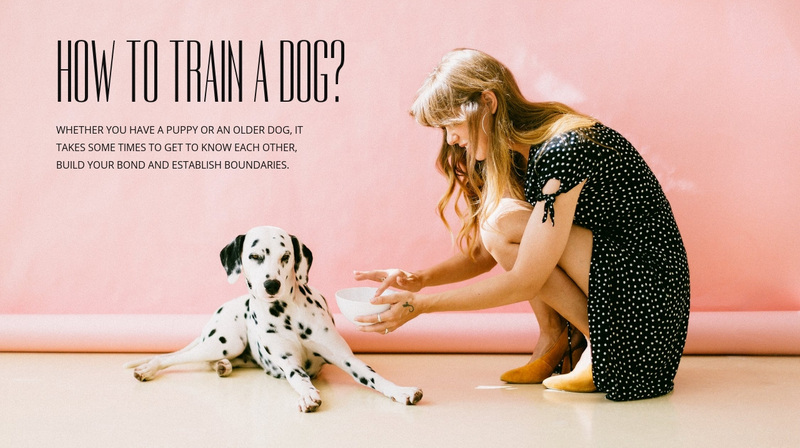 How to train a dog Web Page Design