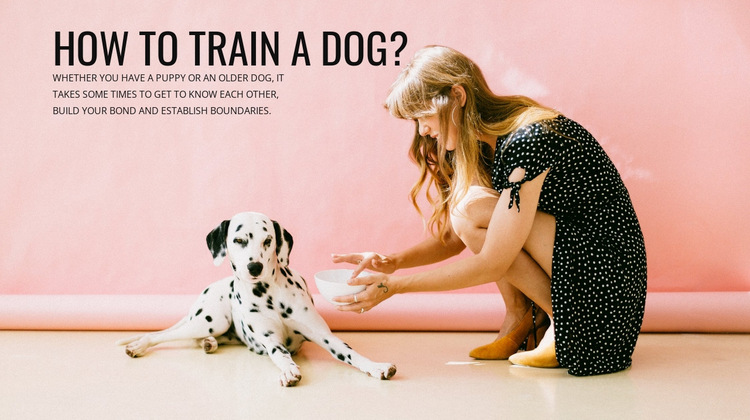How to train a dog Website Builder Templates