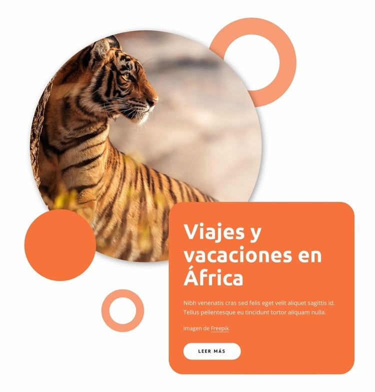 Paquetes turísticos de África Creador de sitios web HTML