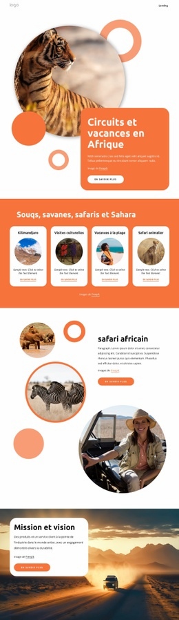 Voyages Et Séjours En Afrique - Conception De Site Web Ultime