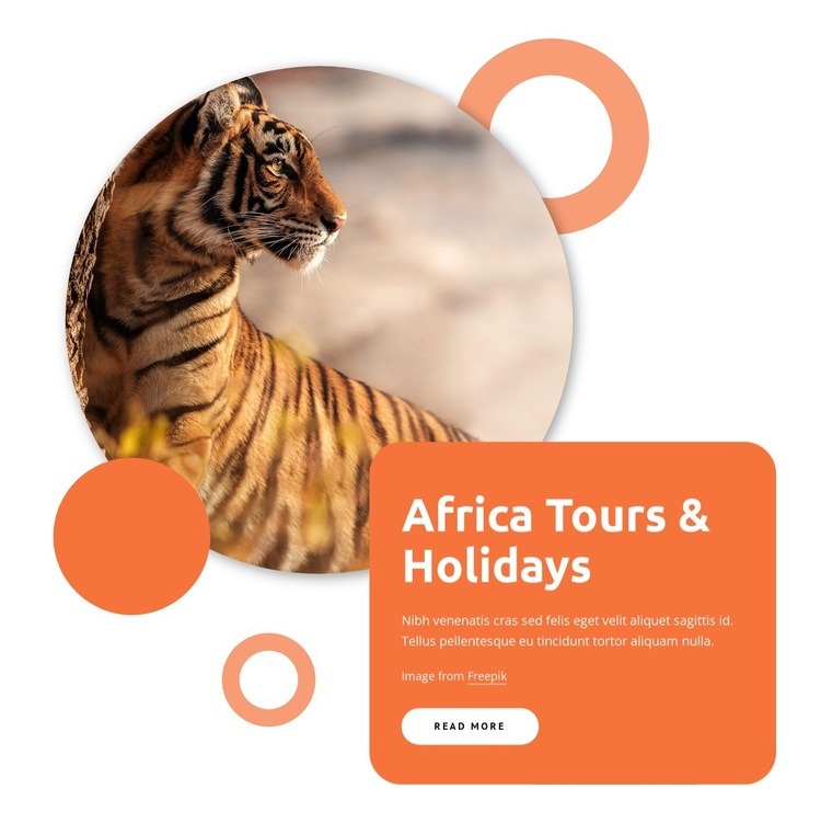 Africa tour packages Homepage Design