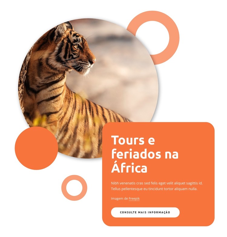 Pacotes turísticos para África Template CSS