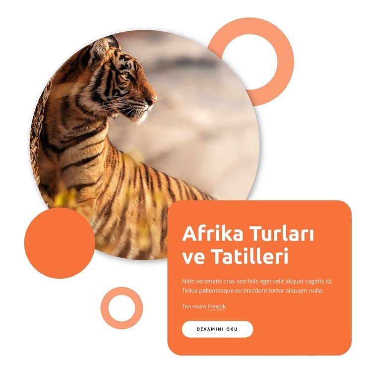 Afrika tur paketleri Web Sitesi Mockup'ı
