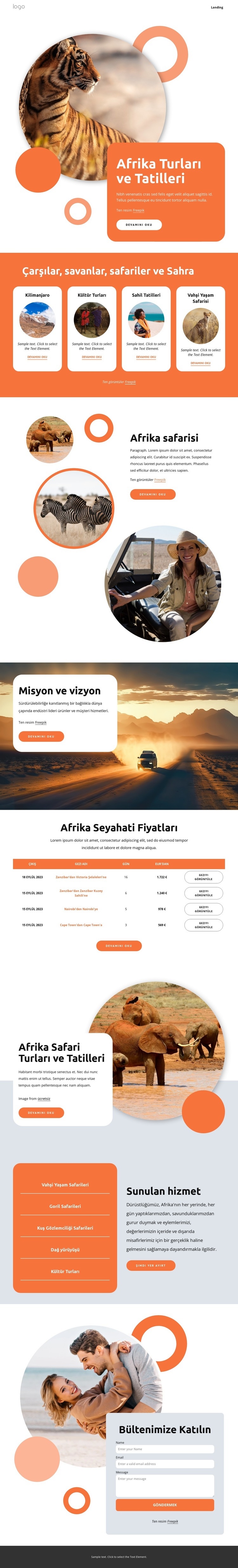 Afrika turları ve tatilleri Web sitesi tasarımı