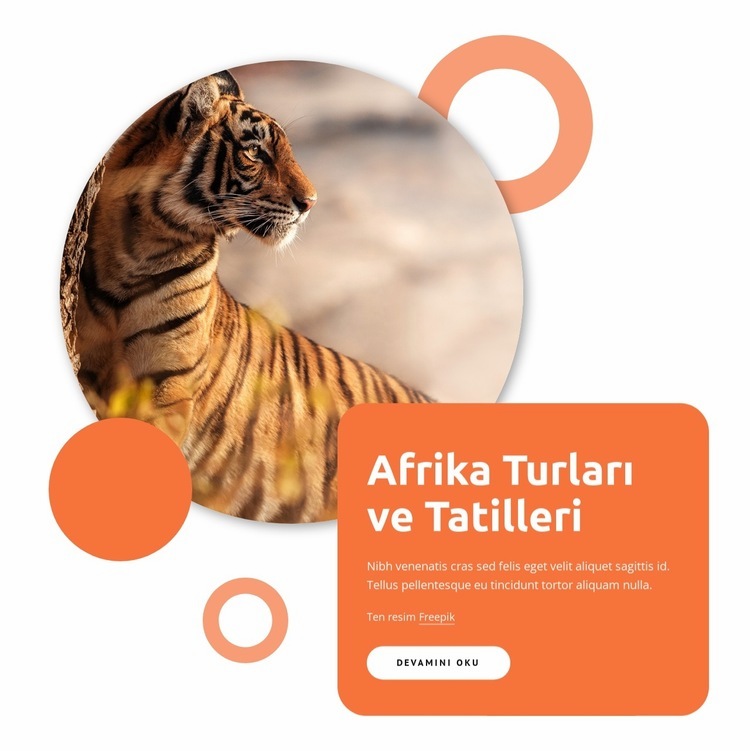 Afrika tur paketleri Web sitesi tasarımı