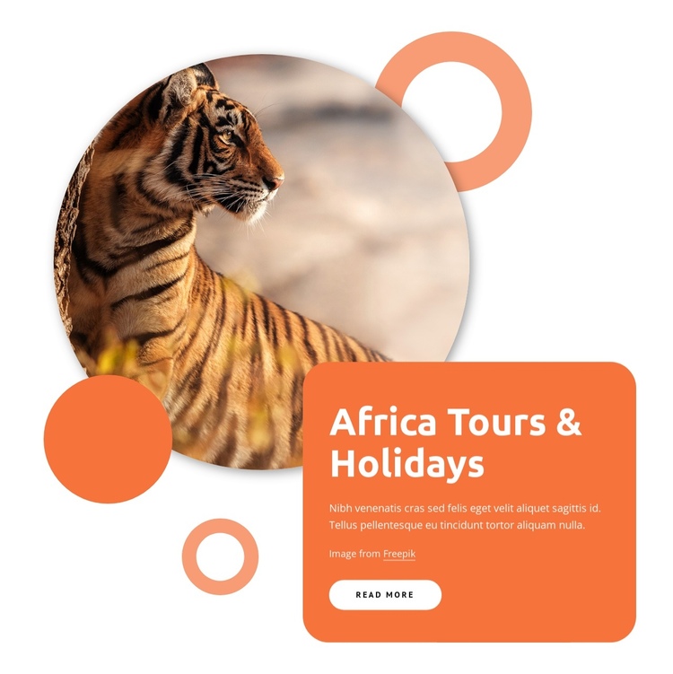 Africa tour packages Website Builder Software