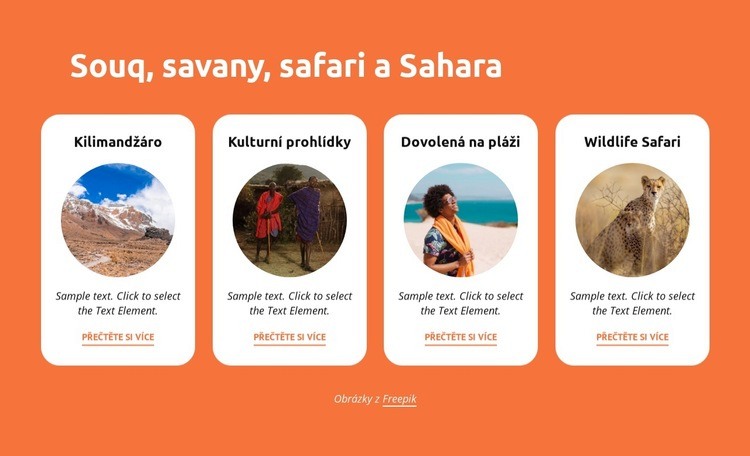 Souq, savany, safari, sahara Šablona webové stránky