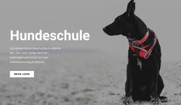 Kostenloses CSS-Layout Für Buchen Sie Eine Schulungsklasse