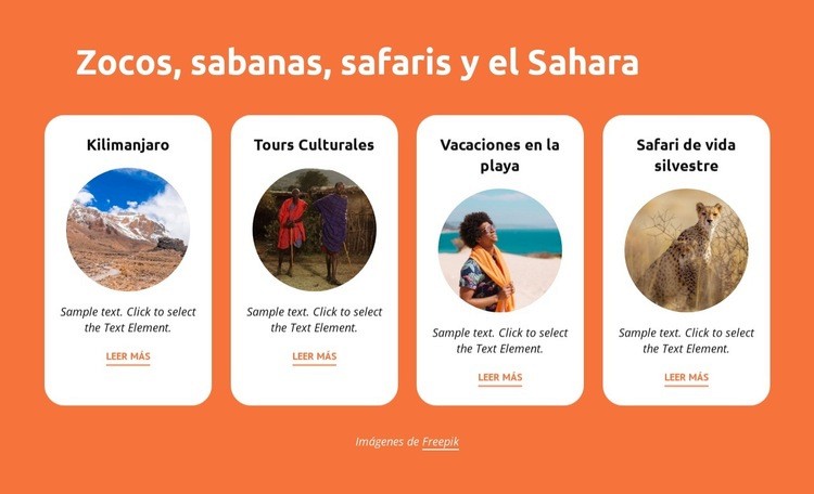 Zocos, sabanas, safaris, sahara Maqueta de sitio web