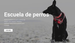 Impresionante Página De Destino Para Reserve Una Clase De Formación