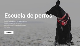 Reserve Una Clase De Formación - Diseño De Sitios Web