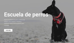 Reserve Una Clase De Formación Plantilla HTML5