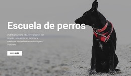 Reserve Una Clase De Formación - Plantilla Joomla Profesional Gratuita