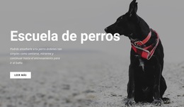 Reserve Una Clase De Formación