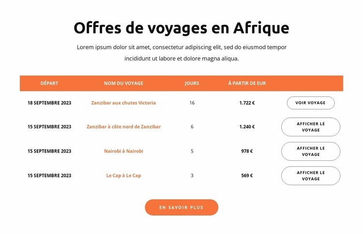 Offres de voyage en Afrique Maquette de site Web