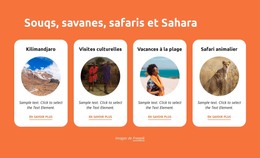 Souqs, Savanes, Safaris, Sahara