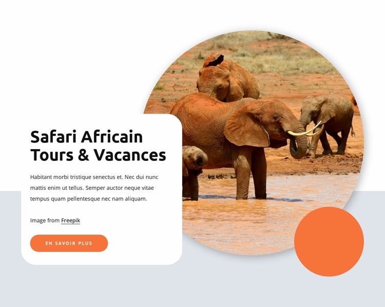 Safari et circuits africains Page de destination