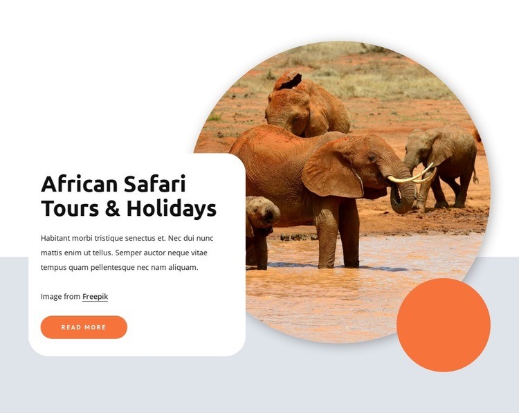 African safari and tours Homepage Design