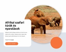 Afrikai Szafari És Túrák - HTML-Sablon Letöltése