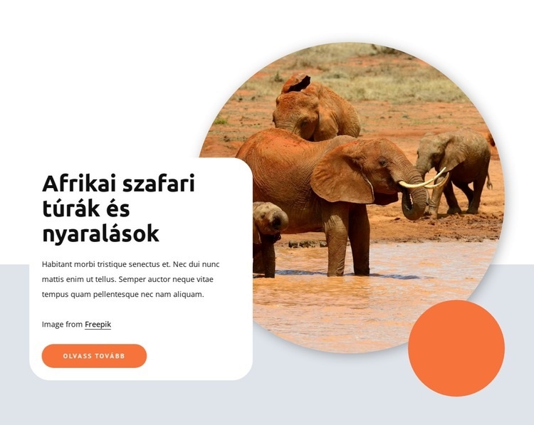 Afrikai szafari és túrák Weboldal sablon