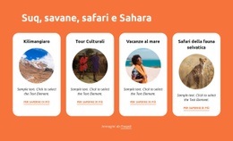 Souq, Savane, Safari, Sahara