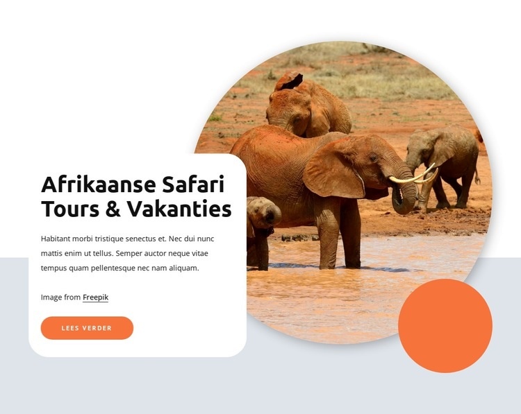 Afrikaanse safari en tours Sjabloon voor één pagina
