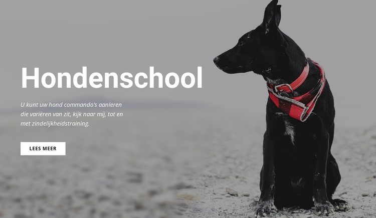 Boek een trainingsles WordPress-thema