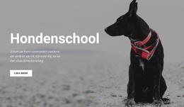 Boek Een Trainingsles - Ultiem Website-Ontwerp