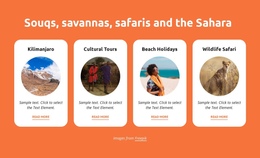 Souqs, Savannas, Safaris, Sahara Business Wordpress Themes
