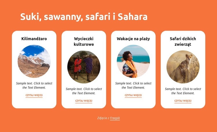 Sukki, sawanny, safari, sahara Makieta strony internetowej