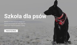 Zarezerwuj Szkolenie - Projekt Strony Internetowej