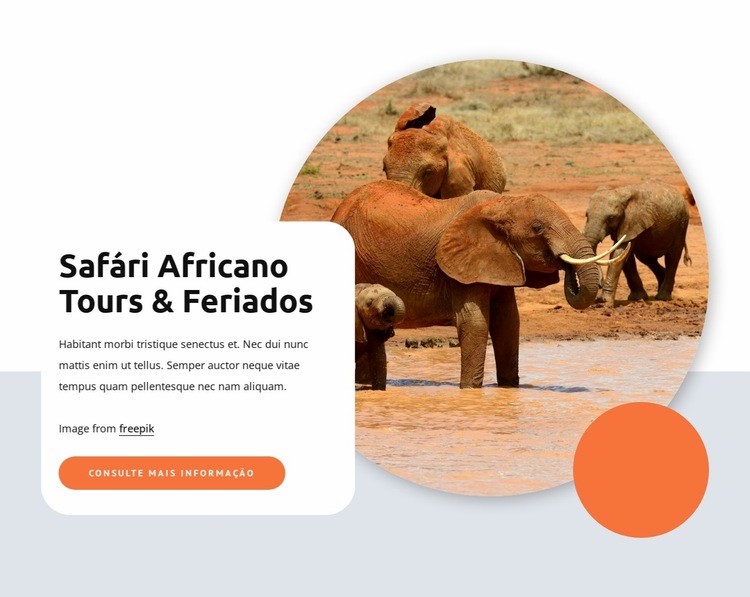 Safari e passeios africanos Design do site