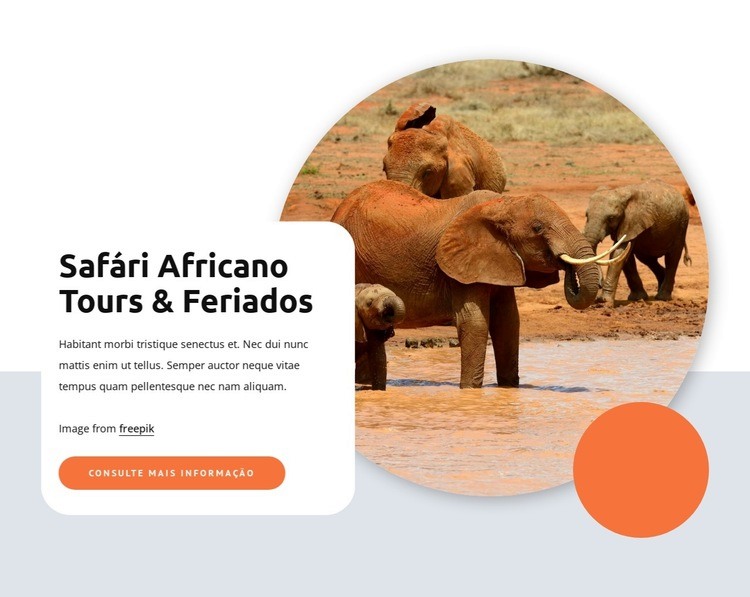 Safari e passeios africanos Maquete do site