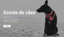 Reserve Uma Aula De Treinamento #Css-Templates-Pt-Seo-One-Item-Suffix