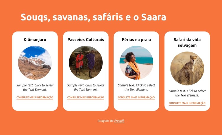 Souqs, savanas, safaris, saara Template CSS