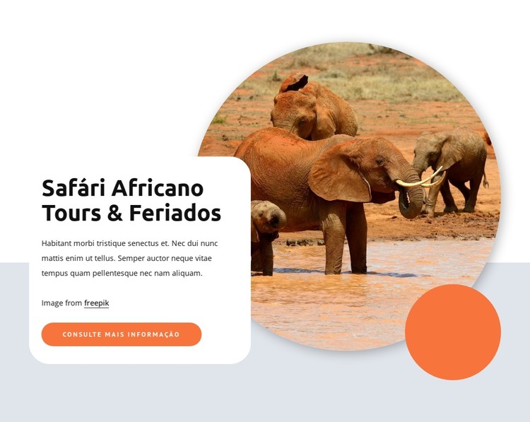 Safari e passeios africanos Template CSS