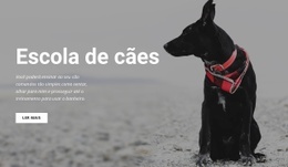 Reserve Uma Aula De Treinamento