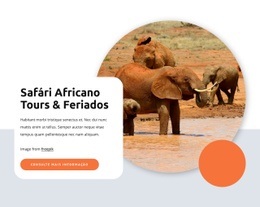 Safari E Passeios Africanos