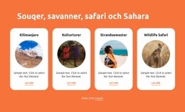 Souqer, Savanner, Safari, Sahara