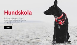 Boka En Träningsklass - Webbplatsdesign
