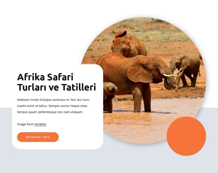 Afrika safari ve turları Web Sitesi Mockup'ı