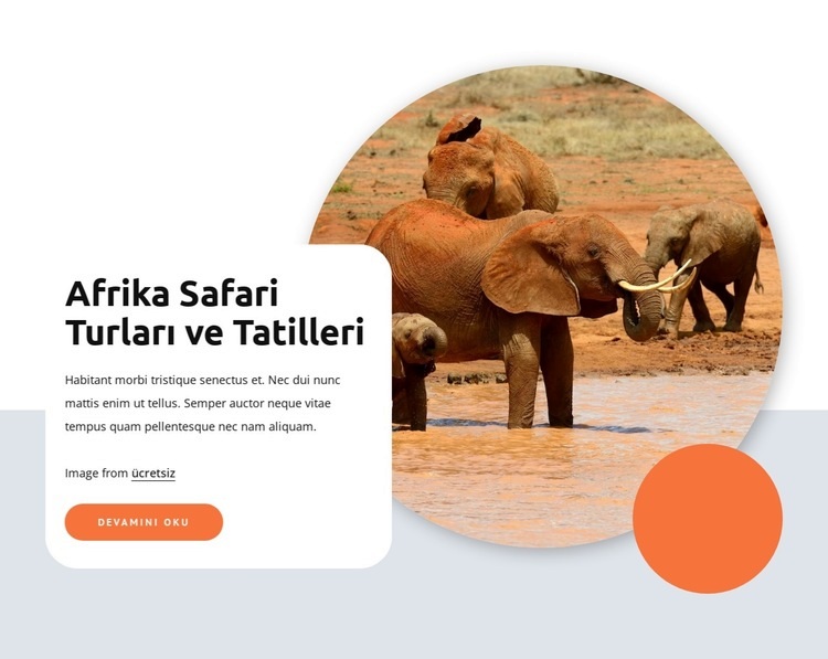 Afrika safari ve turları Web Sitesi Oluşturucu Şablonları