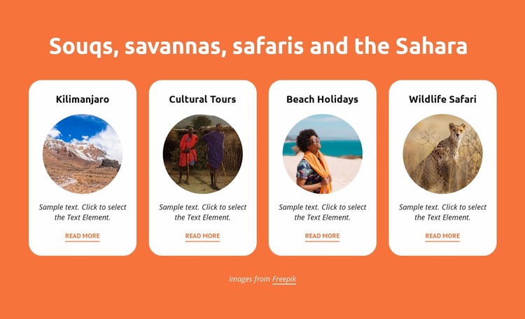 Souqs, savannas, safaris, sahara Website Mockup